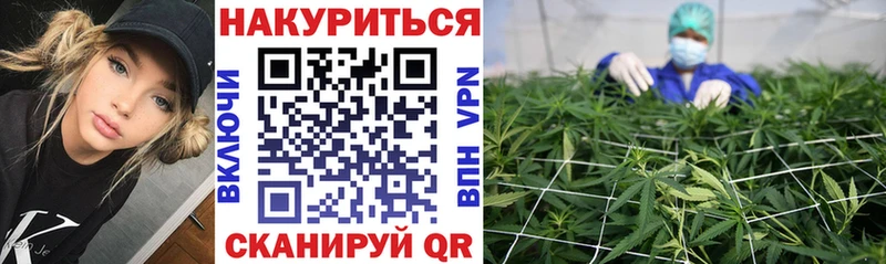Конопля семена  Купить  Жуков 